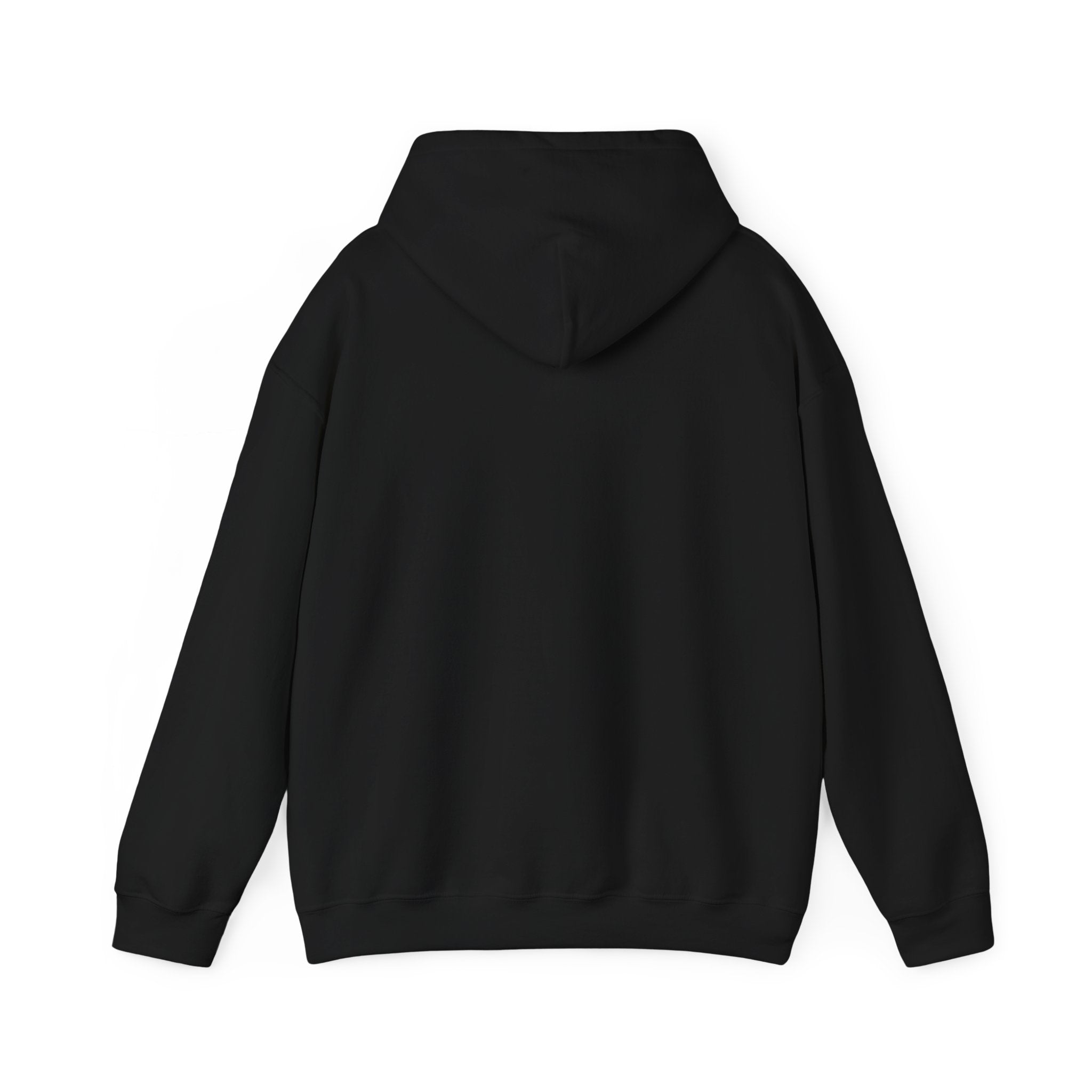 Discipline > Motivation Hoodie