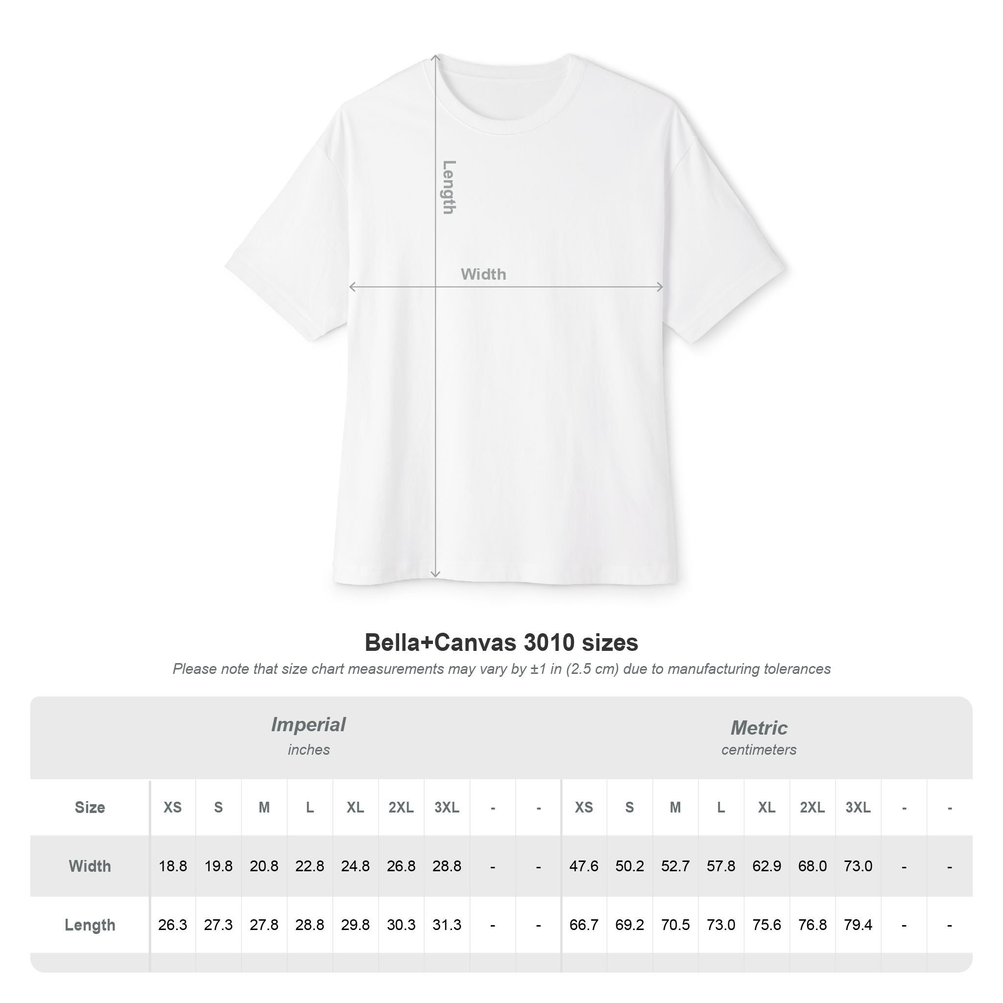 Discipline > Motivation Oversized Tee