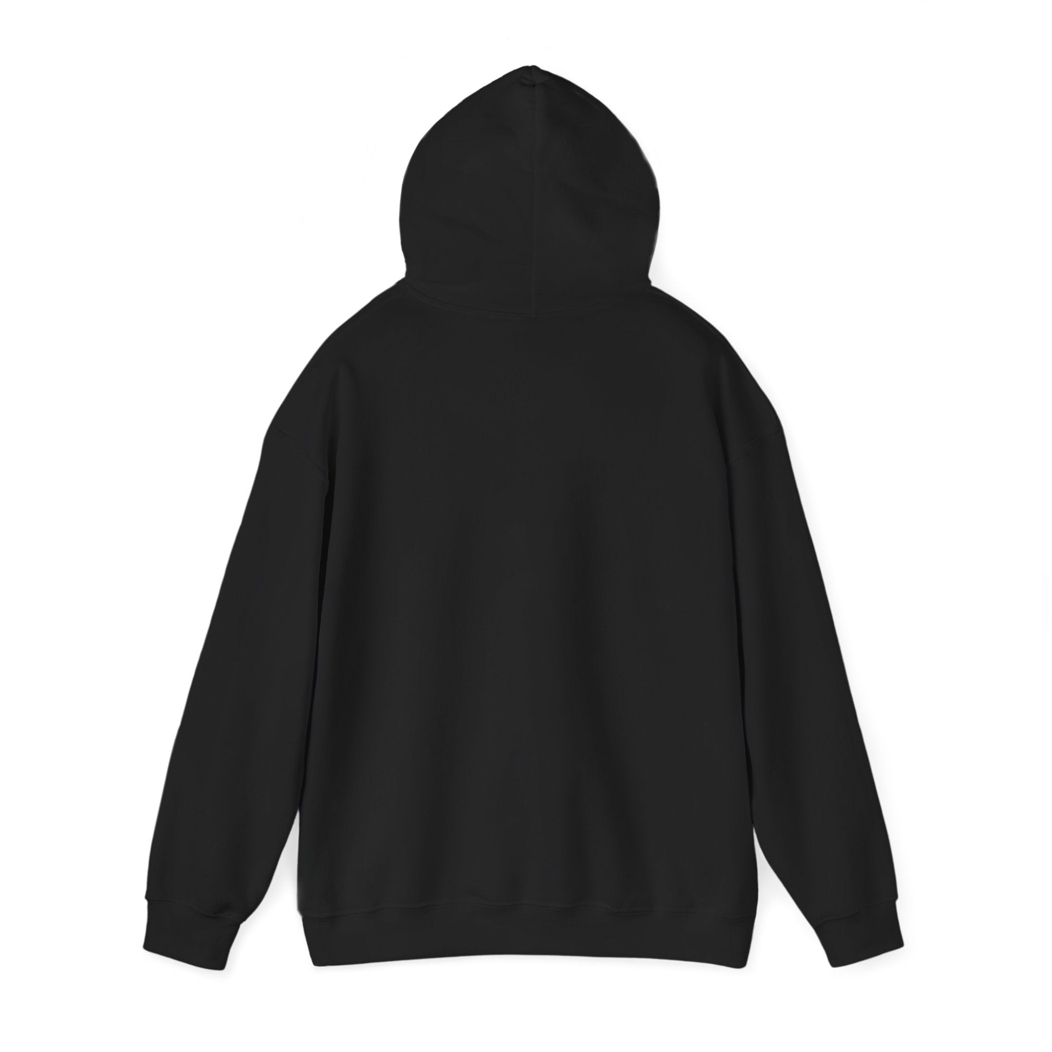 Quiet Power Hoodie